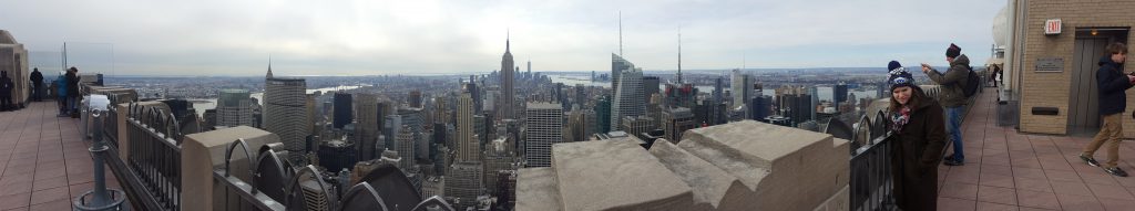 View from Top of the Rock Observatory