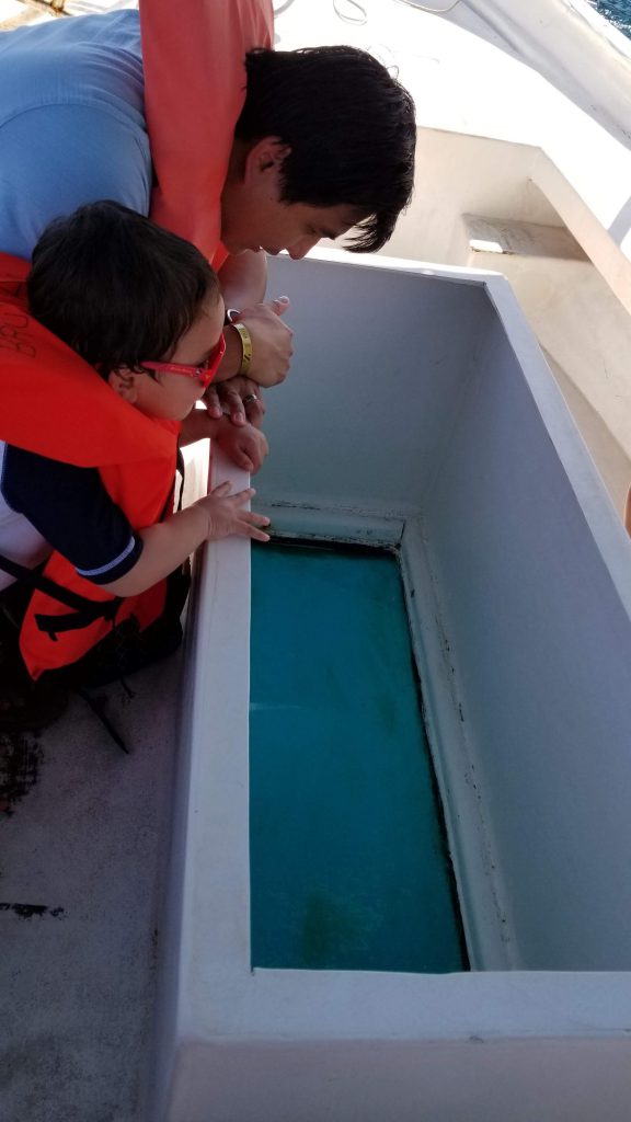 Man and boy looking through the bottom of a glass-bottom boat- Cabo with kids