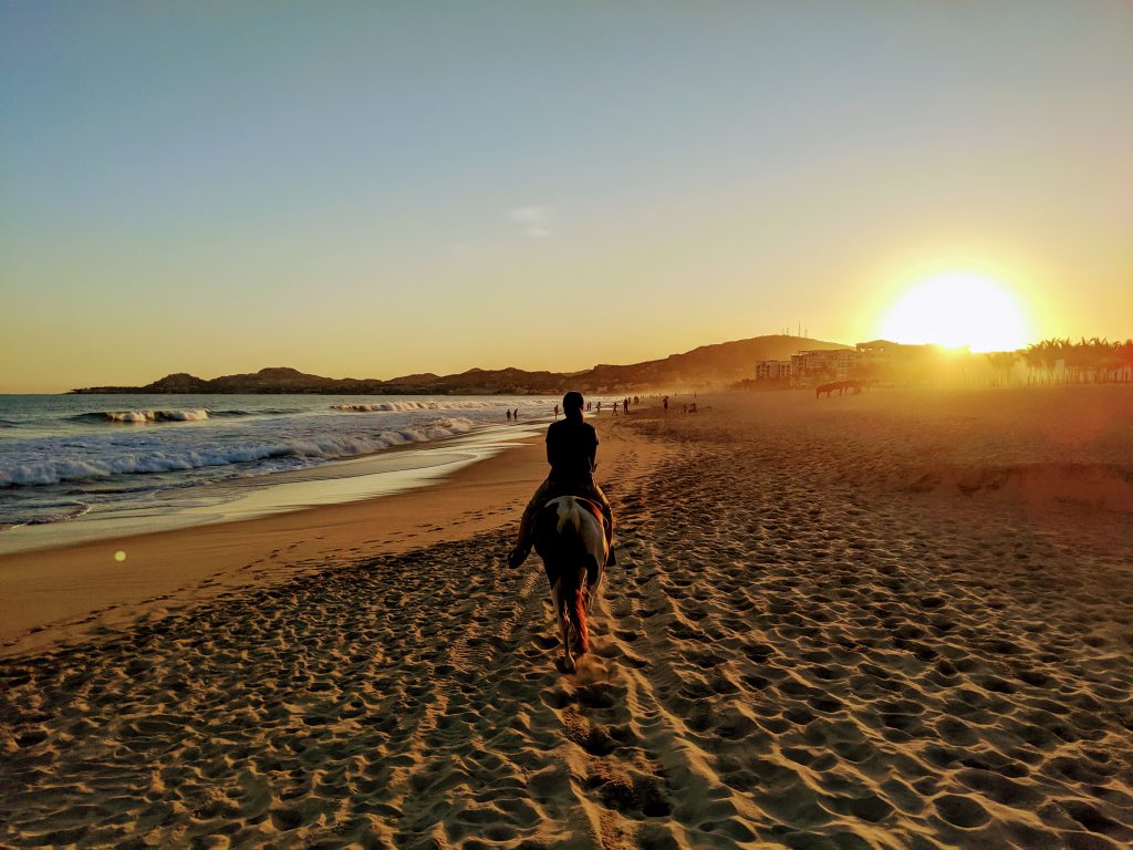 Horseback riding on the beach in Los Cabos- Cabo with kids