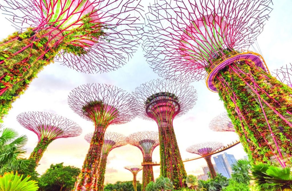 Supertrees in Singapore