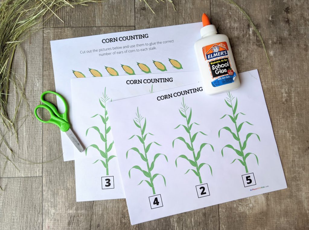 Materials for the corn counting activity