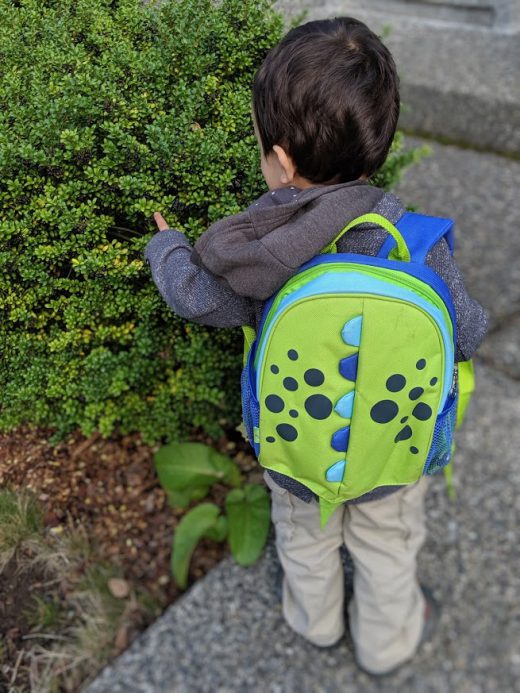 The Best Toddler Travel Backpacks Go Places With Kids