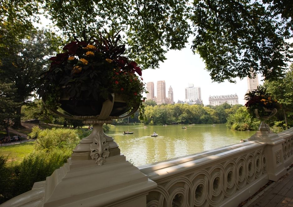 Bridge in Central Park- New York City with a Baby