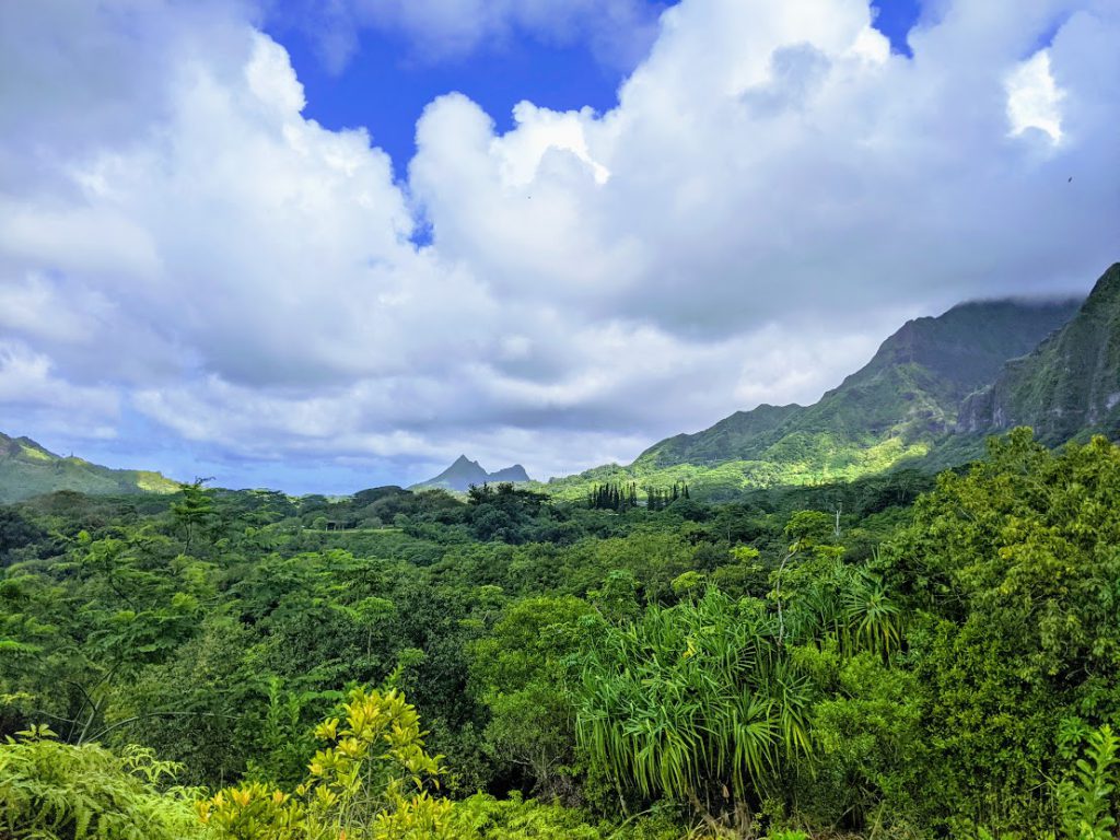 Hoʻomaluhia Botanical Garden- easy hikes on Oahu