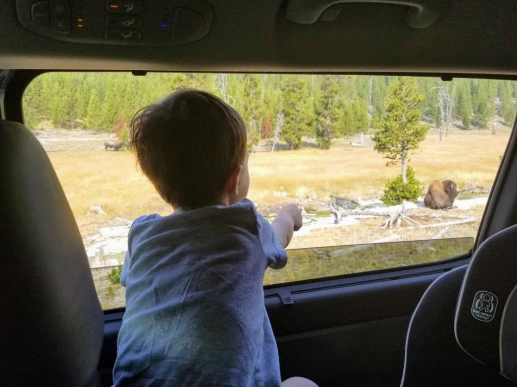 Child pointing at bison- Yellowstone with kids