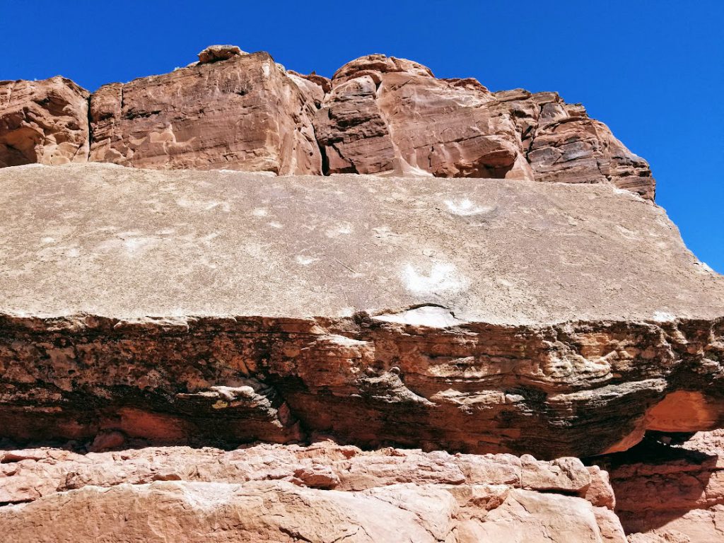 Dinosaur prints on a rock