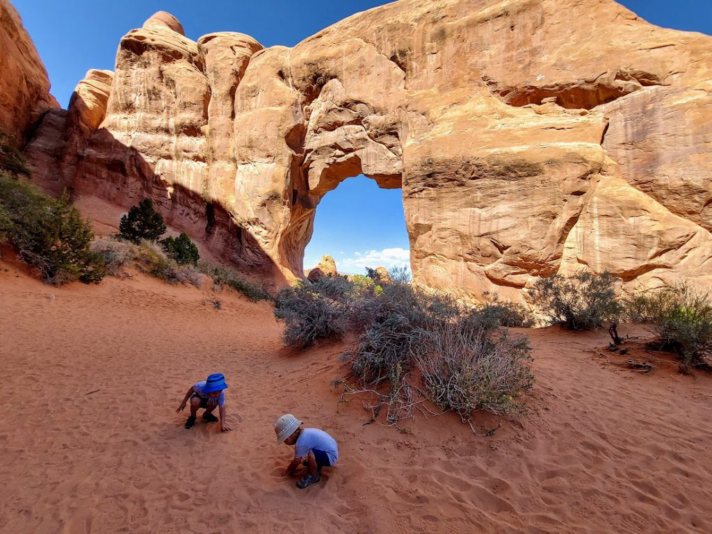 Pine Tree Arch