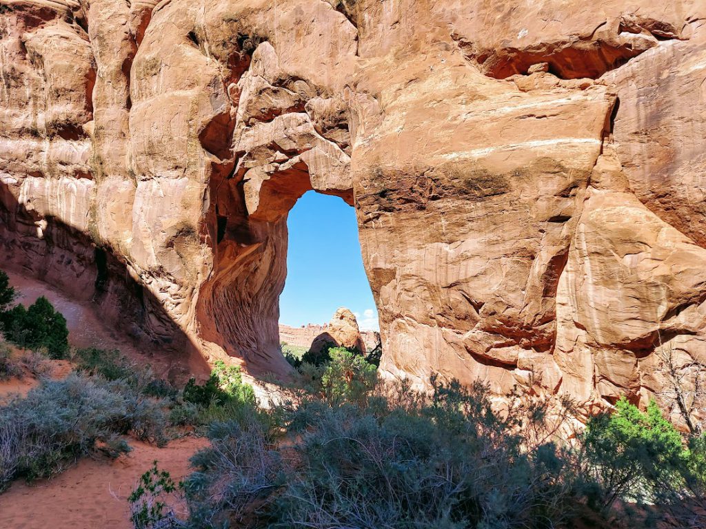 Pine Tree Arch