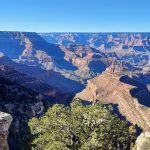 Visiting the Grand Canyon with Kids- Everything You Need to Know!