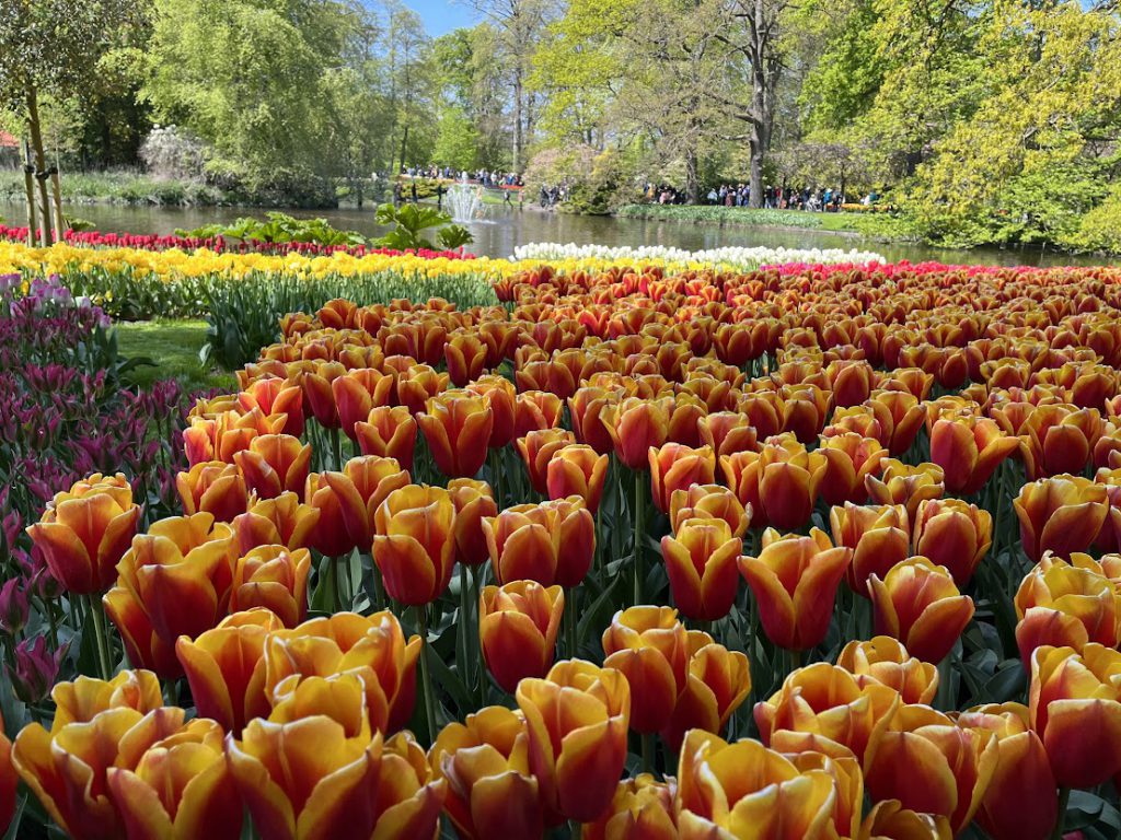 Pond at Keukenhof Gardens