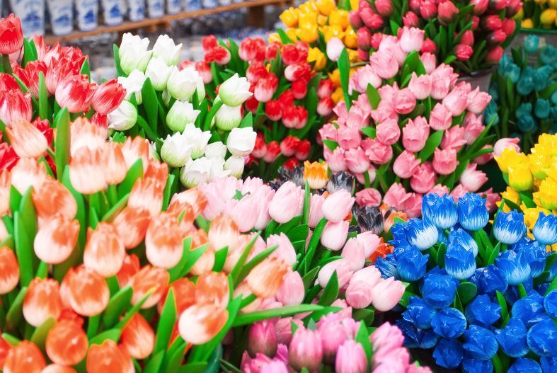 Amsterdam flower market