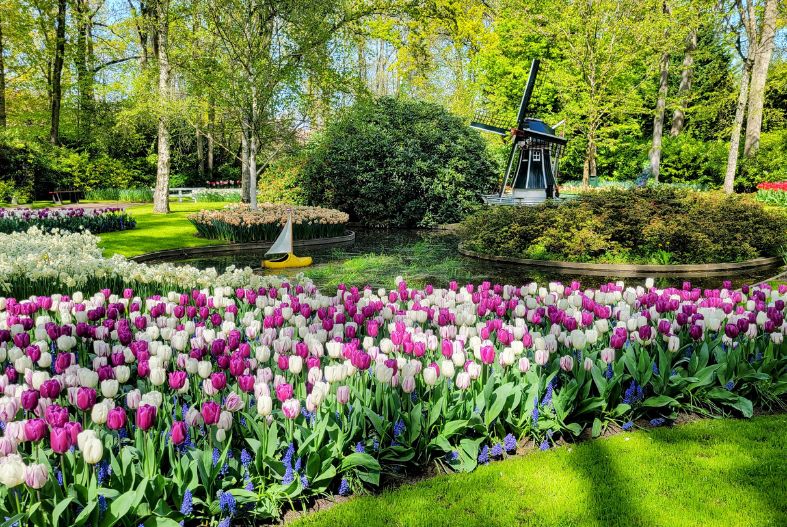 Keukenhof Gardens