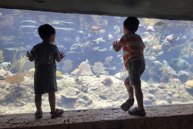 Xcaret Aquarium