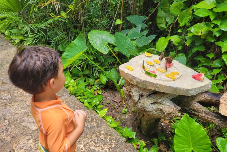 Xcaret butterfly pavilion