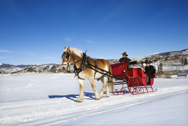 Sleigh ride