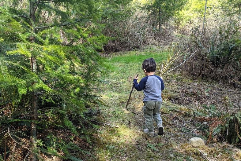 Toddler hiking