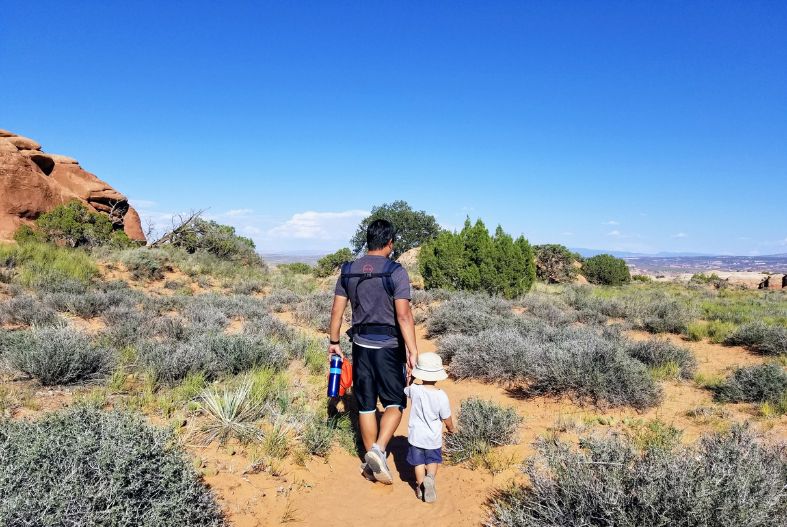 Toddler and father hiking
