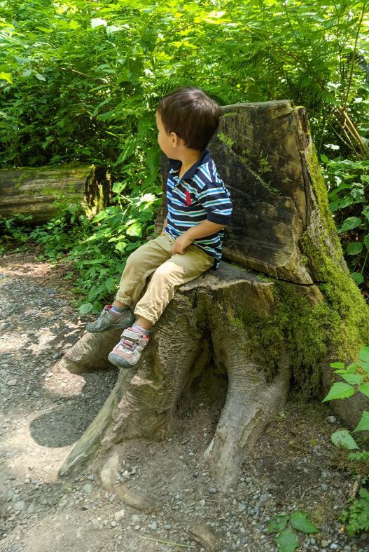Toddler sitting on stump during hike