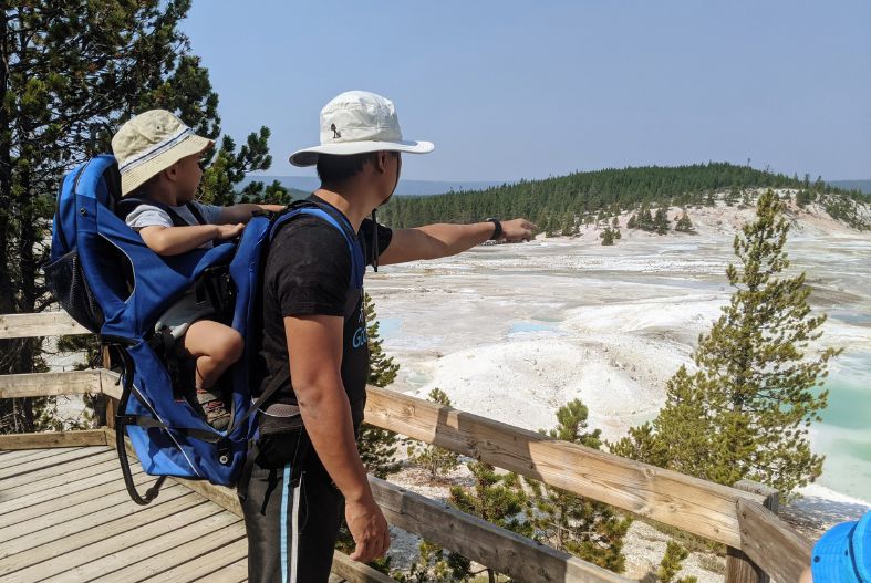 Toddler in a hiking carrier