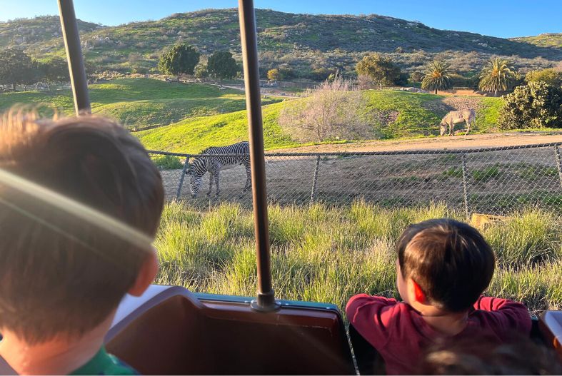 Two children on the Africa Tram at San Diego Safari Park