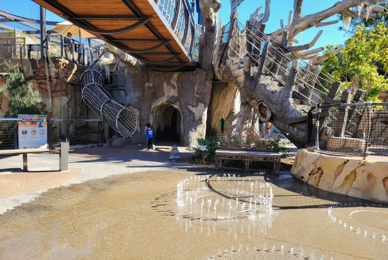 Wildlife Explorer's Basecamp at the San Diego Zoo