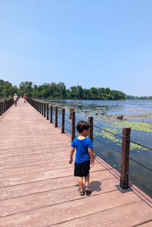 Bridge to Neak Pean