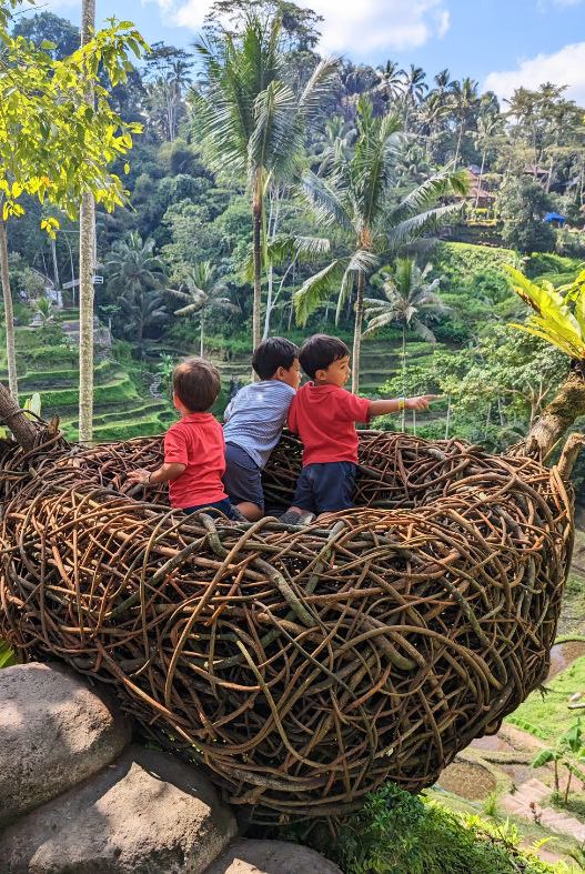 Kids at Tegallalang Rice Terraces