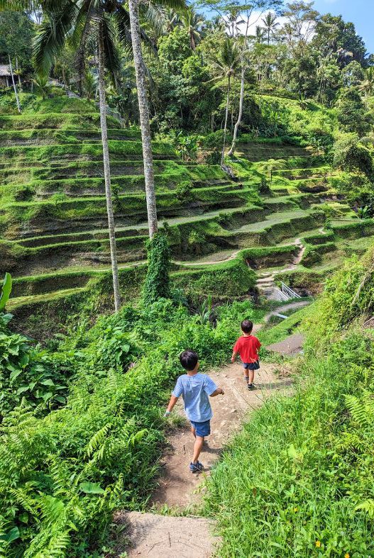 Trekking through Tegallalang Rice Terraces