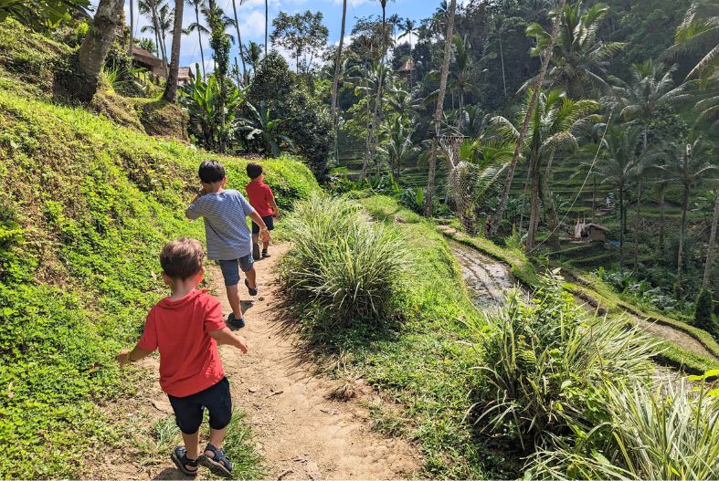 Kids trekking at Tegallalang Rice Terraces