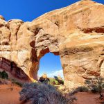 Pine Tree Arch- One day in Arches National Park
