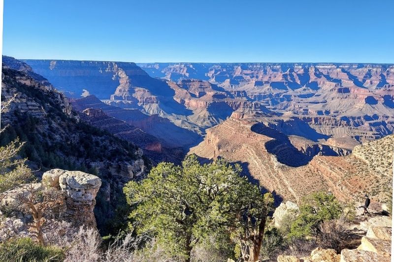 View of the Grand Canyon