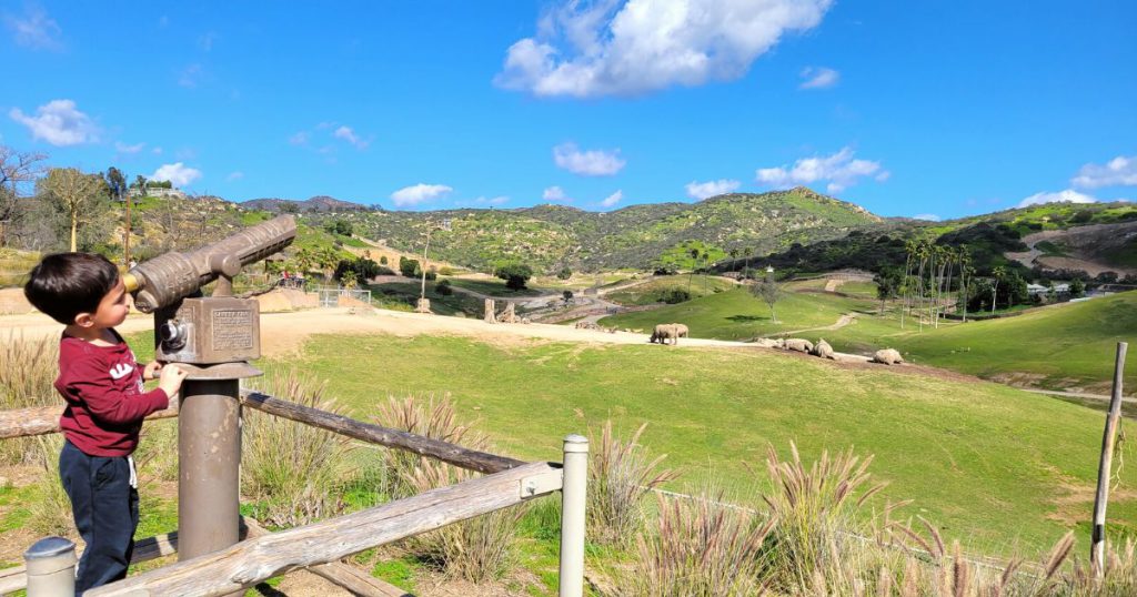 Child looking at rhinos at San Diego Safari Park