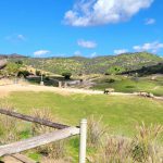 Child looking at rhinos at San Diego Safari Park