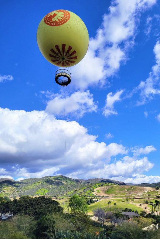 San Diego Safari Park Balloon Safari