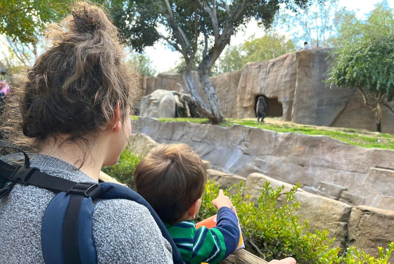 Woman and child in carrier looking at the monkeys at San Diego Zoo