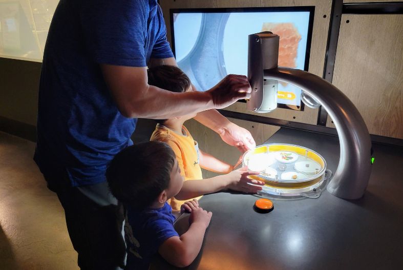 Family using a microscope at the San Diego Zoo