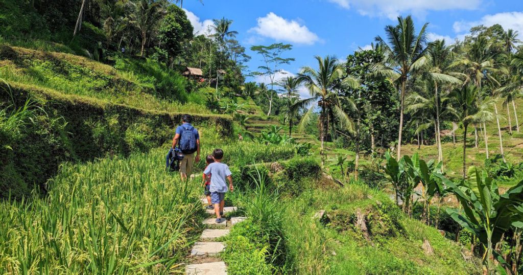 Tegallalang Rice Terraces