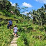 Tegallalang Rice Terraces